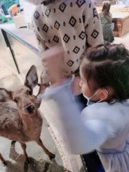 -酷嗒动物文化乐园(cutezoo西溪乐天城店)