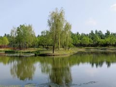 -东郊湿地公园