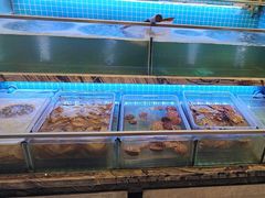 -渔家风味·鲅鱼水饺·央视展播·海鲜天津菜(开发区店)