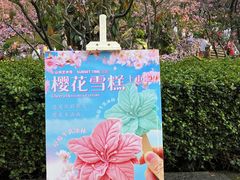 -狐尾山公园