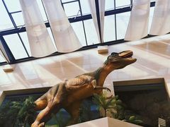 -安徽省地质博物馆