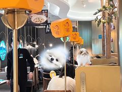 -刀板香·安徽菜(国购IFC店)