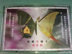 -上海昆虫博物馆