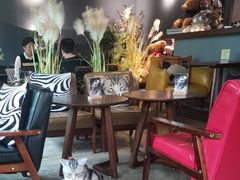 -咖法森林·咖啡  酒吧(天河店)