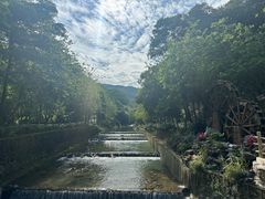 -广州白江湖森林公园