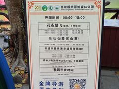 -西双版纳原始森林公园
