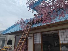 -Blue Concept Cafe&Farm·關於藍