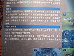 -上海海洋水族馆