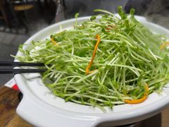 -后湖小院·乡野田园菜