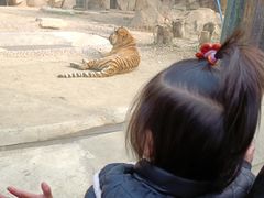 -荆州中山公园动物园