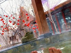 -汉拿山温泉度假酒店