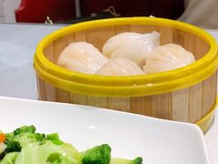 -高第街56号餐厅(宝龙店)