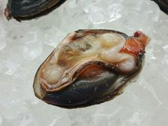 -蚝专家(北滘店)