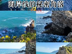 -杨梅坑