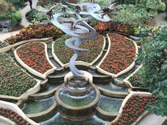-南山植物园