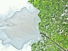 -燕西婚纱摄影工作室(友盛上都写字楼店)