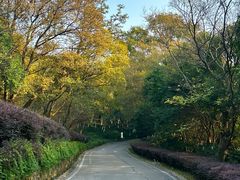-南京市江宁方山
