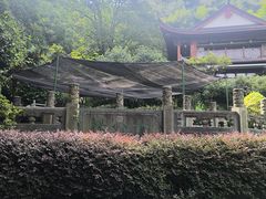 -十八棵（老龙井）御茶园(老龙井店)