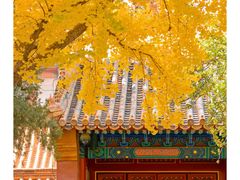 -故宫博物院(故宫)