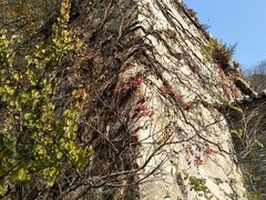 景点-天津盘山风景名胜区