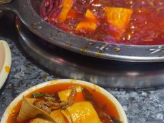 -蜀大侠火锅(总府路店)