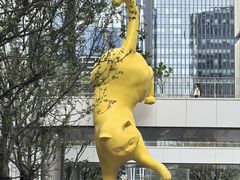 -深圳湾万象城(南山店)