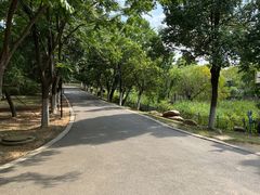 -合肥野生动物园