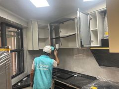-Liteclear日本进口强效除甲醛检测治理(旗舰店)