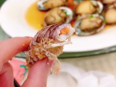 -新金盛·海鲜酒楼(盐田店)