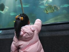 -大连圣亚海洋世界