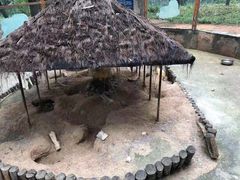 -昆明动物园