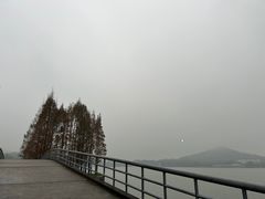 -上海月湖雕塑公园