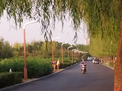 -洨河生态公园