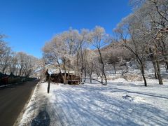 -东北亚滑雪场