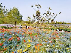 -上海辰山植物园