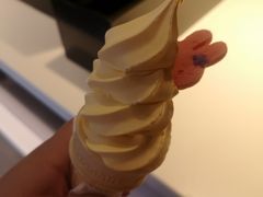 -麦当劳(农光里店)