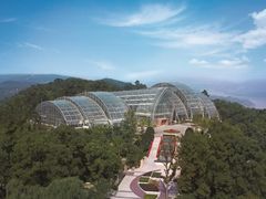 -南山植物园
