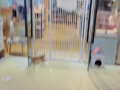 -藏猫猫咖啡主题馆(中央大道店)