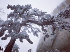 -华山风景名胜区