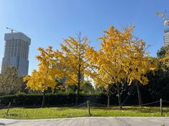 -上海山野camping·户外天幕烧烤·团建拓展营地