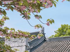 -苏州文庙(姑苏区)