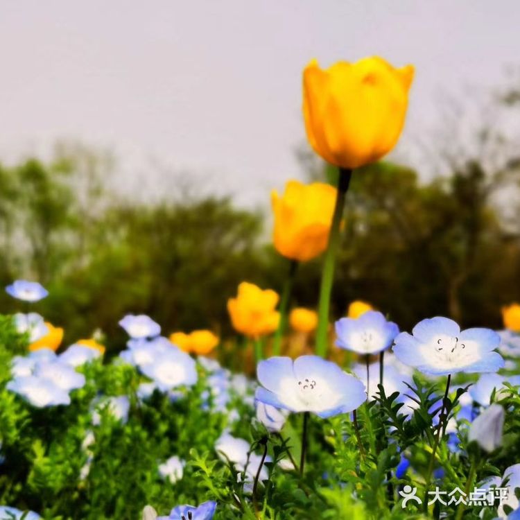 春日怎么能不踏青呢[加油]