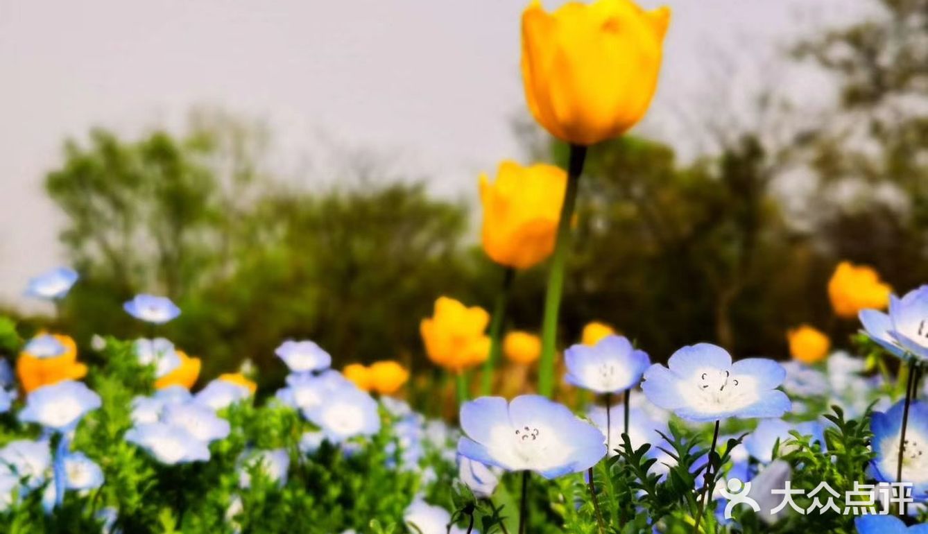 春日怎么能不踏青呢[加油]