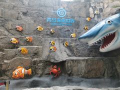 -青岛海底世界-水族馆