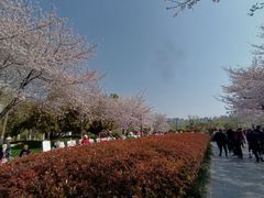 -堤角公园