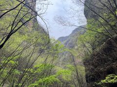 -野三坡百里峡景区