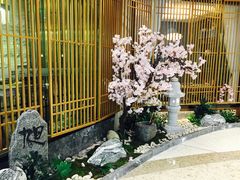 -割烹旭日本料理(龙湖狮山天街店)