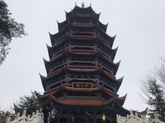 -铁山坪森林公园