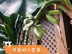 -龙达温泉生态城