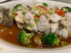 葱油捞鲈鱼-金河半岛园林酒家(金融城店)